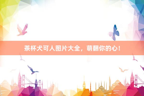 茶杯犬可人图片大全，萌翻你的心！