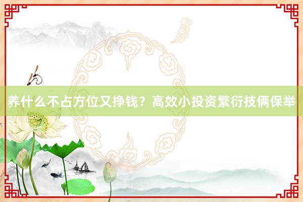 养什么不占方位又挣钱？高效小投资繁衍技俩保举