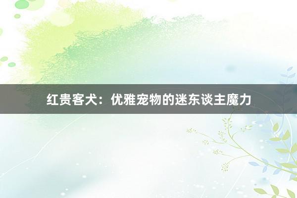 红贵客犬：优雅宠物的迷东谈主魔力
