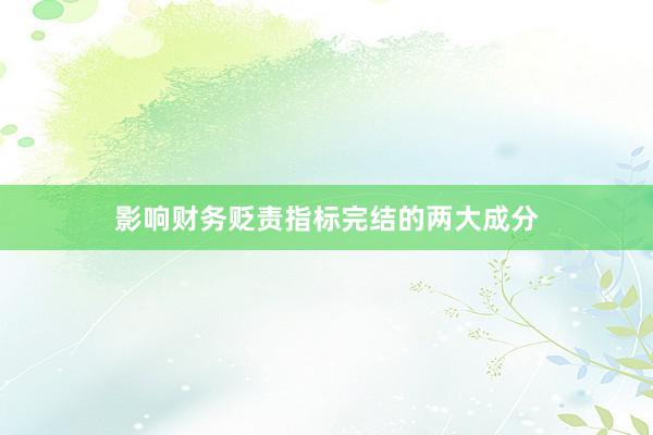 影响财务贬责指标完结的两大成分